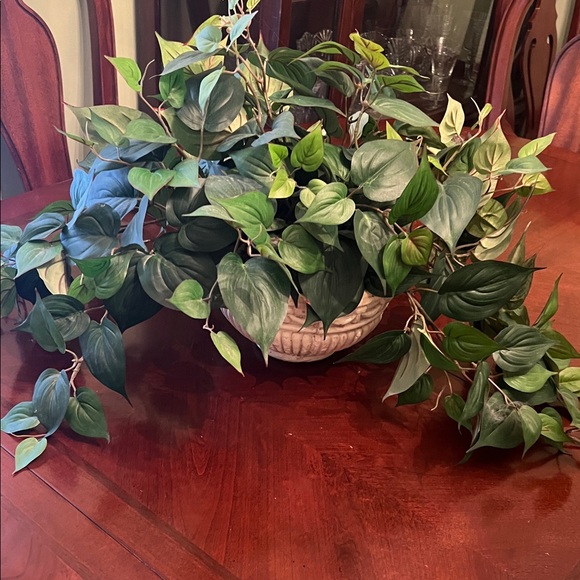 Big Elegant Green Faux Plant in Cream Planter - Picture 3 of 3